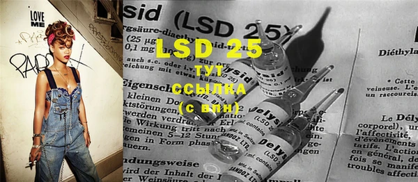 гидра Гусь-Хрустальный