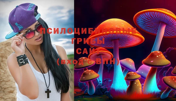 гидра Гусь-Хрустальный