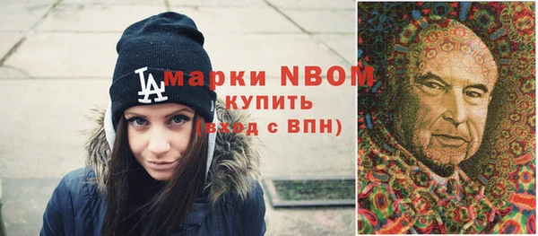 гидра Гусь-Хрустальный