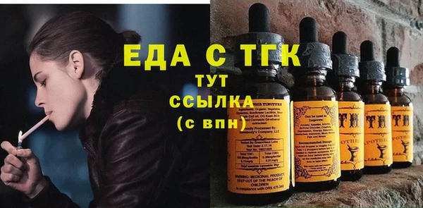 гидра Гусь-Хрустальный